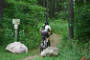 Brant trail 2
