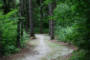 Brant trail 4