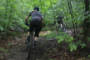 Mountain Bike the Bruce
