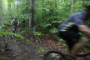 Mountain Bike the Bruce