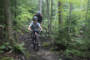 Mountain Bike the Bruce