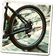 Bike Shops