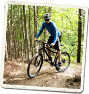 Carrick Trail Photo