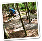 Carrick Trail Photo
