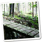 Kinloss Trail Photo