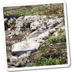 Lindsay Trail Photo