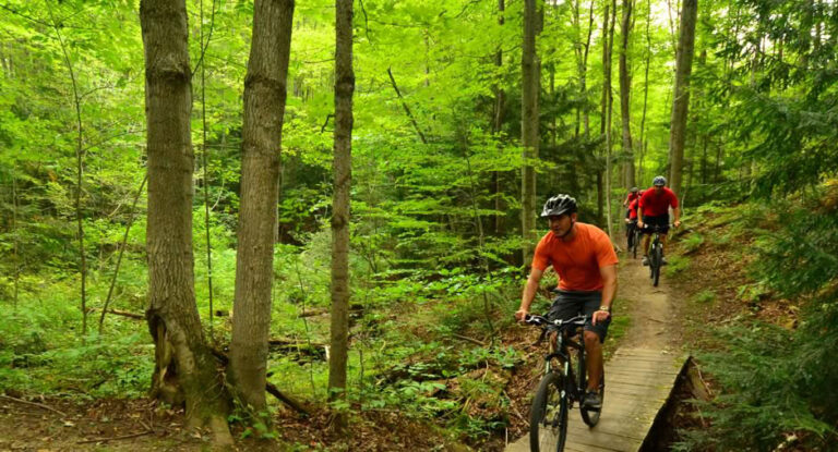 people on mountain bikes on a trail